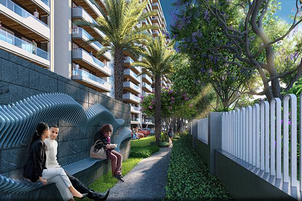 Palm-lined entry boulevard